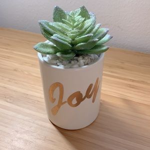 Fake crystal shimmer aloe plant